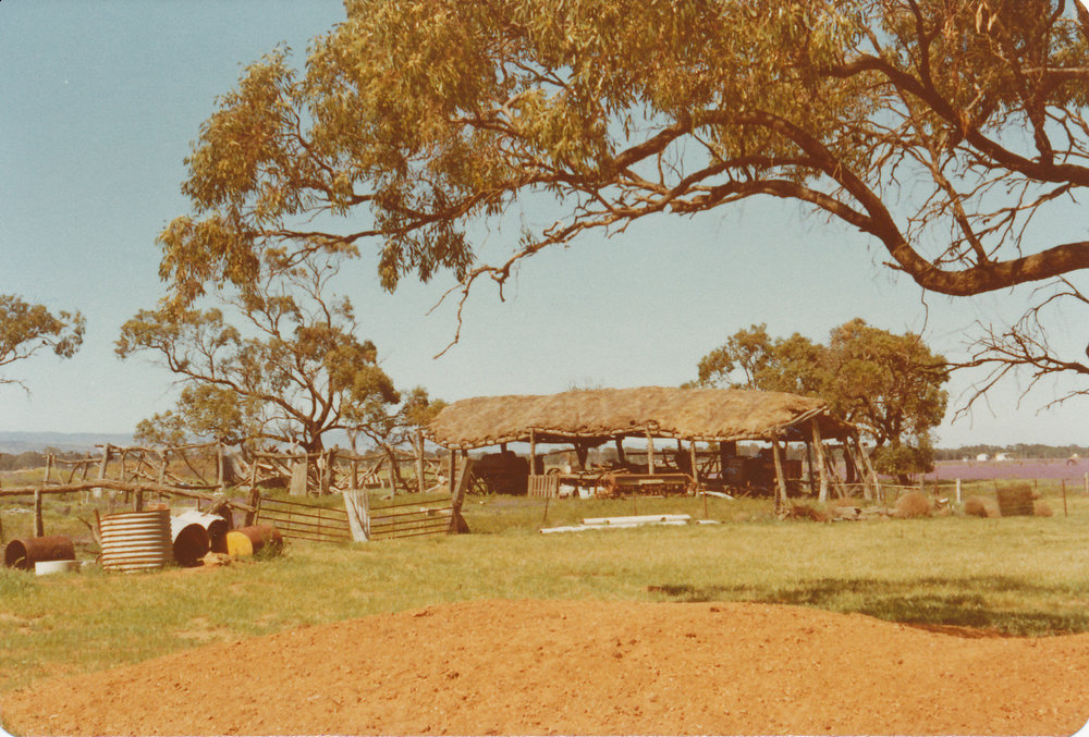 Fatchen Farm, Penfield