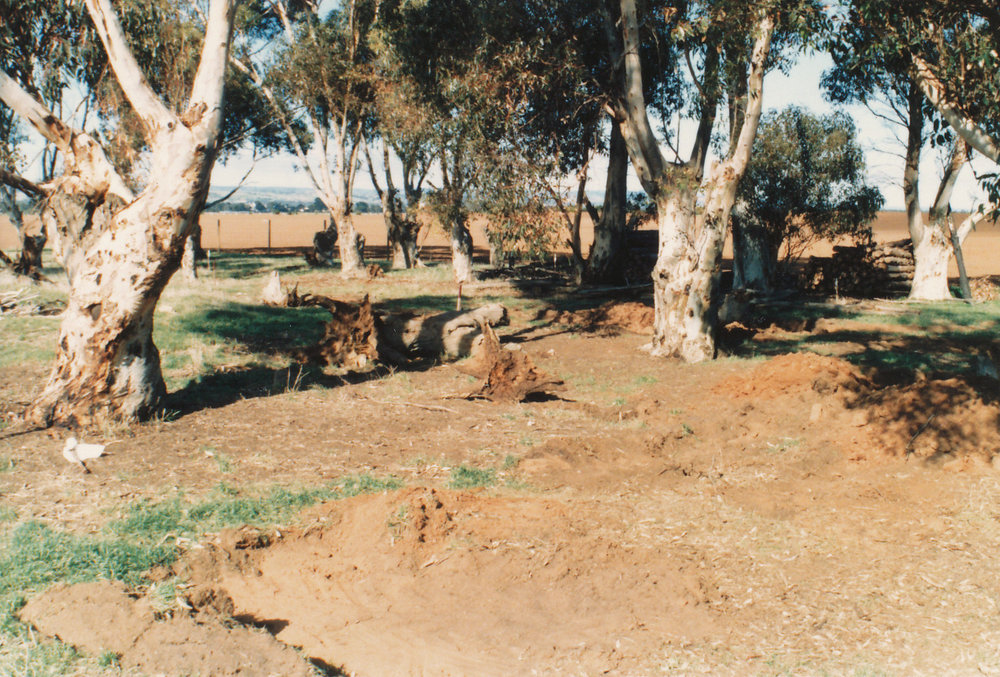 Petherton Road Farm Project
