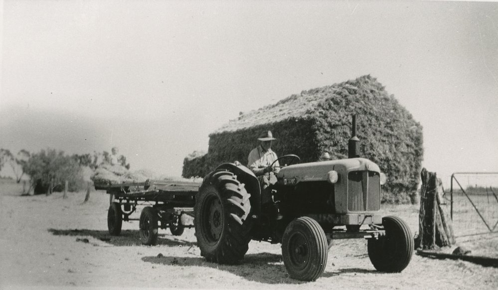 Taylor Farm, Calvengrove