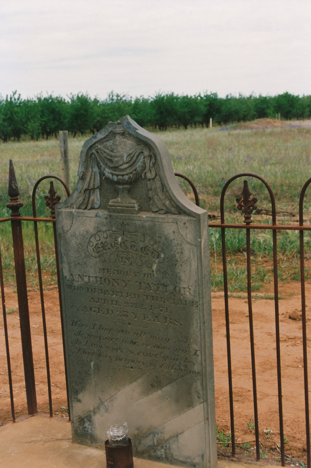 Zoar Cemetery - Anthony Taylor