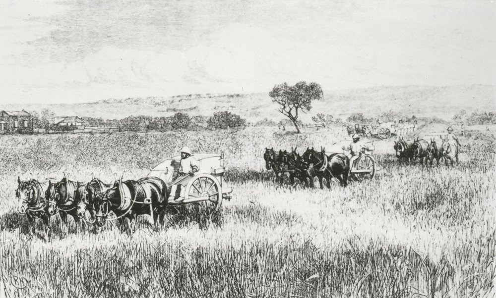 Riggs Farm at Evanston