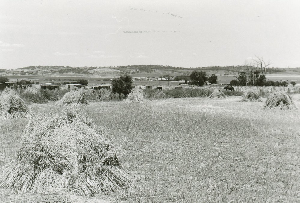 Evanston Gardens Farms : 1978
