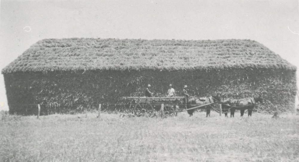 Jack Coopers Farm, Evanston Gardens