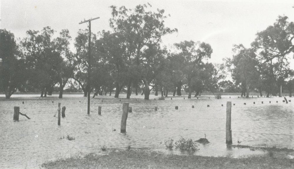 Jack Coopers Farm, Evanston Gardens