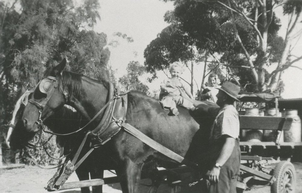 Jack Coopers Farm, Evanston Gardens