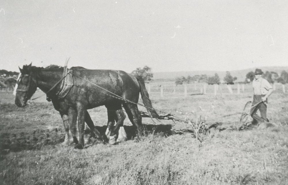 Jack Cooper's Farm, Evanston Gardens