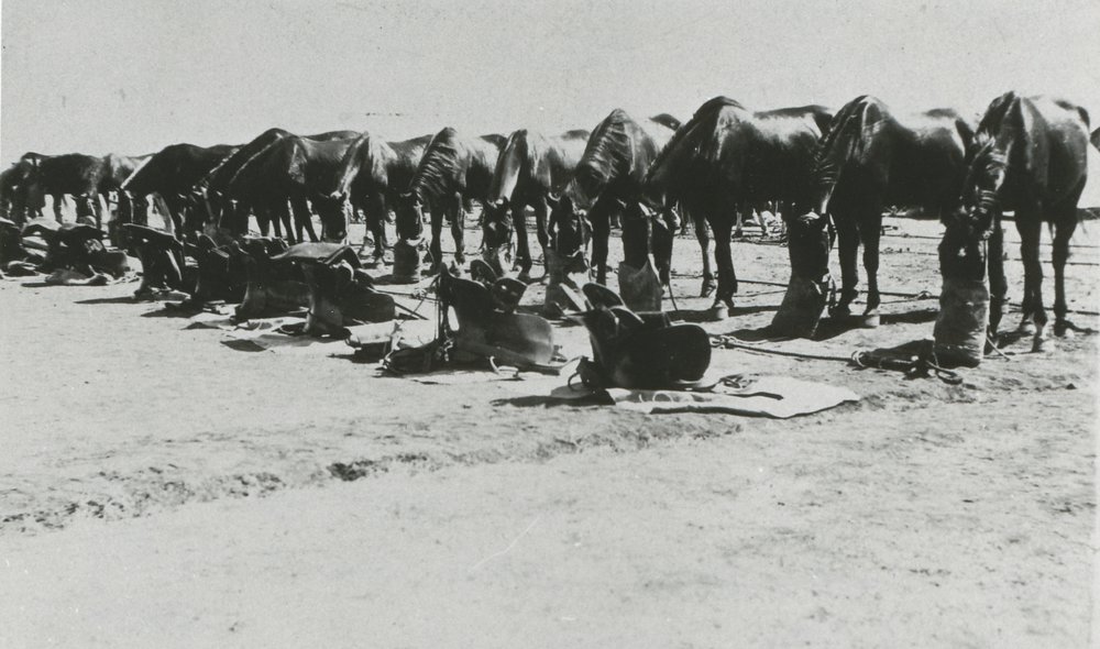 Gawler Light Horse Troops