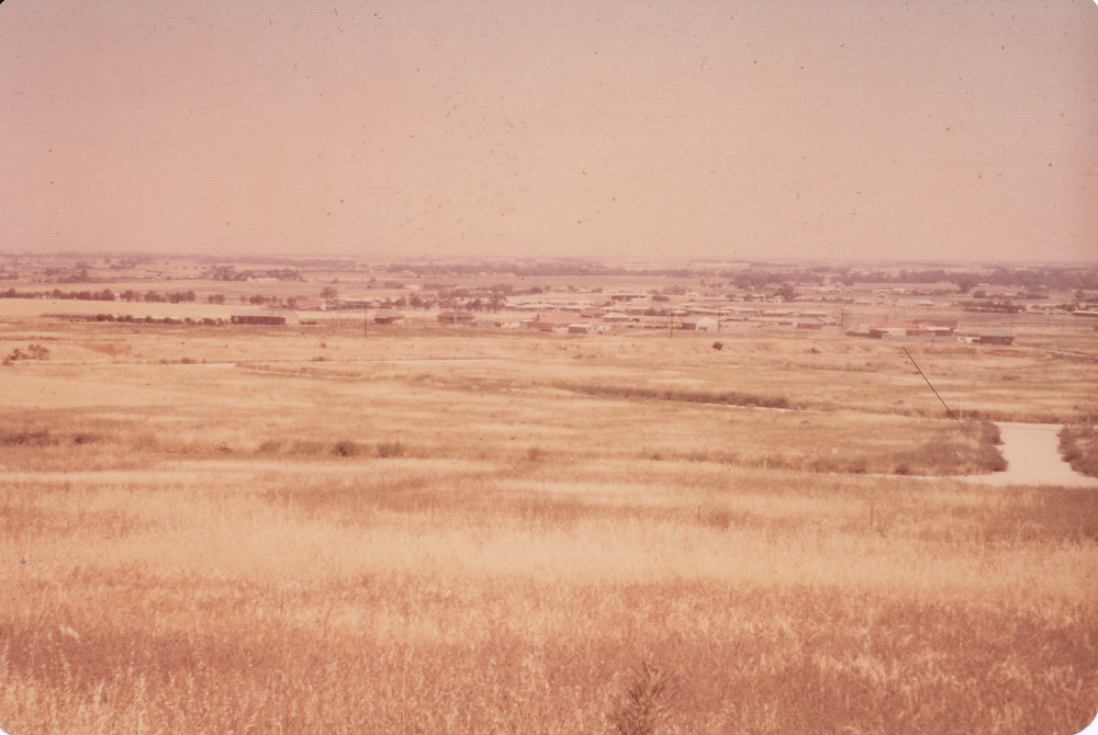 Evanston Park : 1965