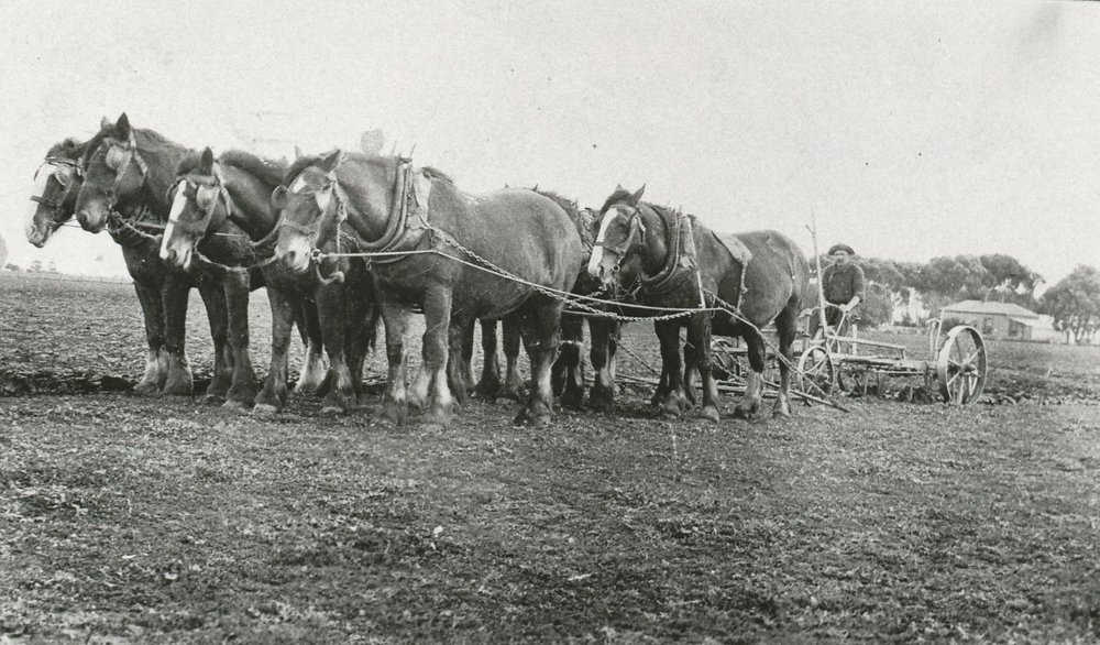 Phineas Baker's Farm, Virginia