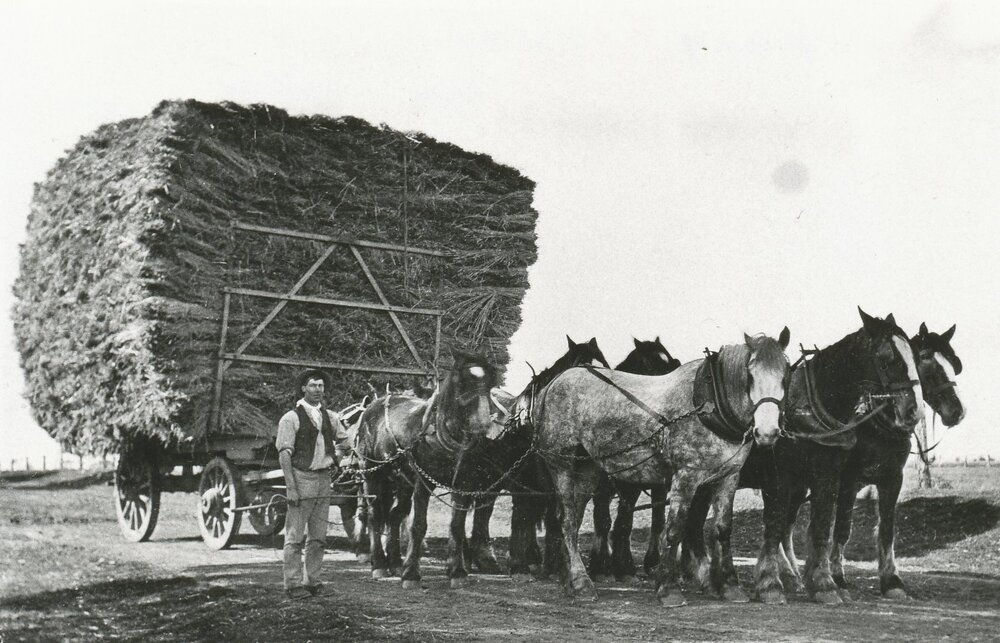 Massey Hatcher Carting Hay