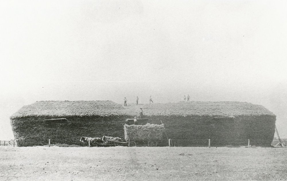 Alfred Baker's Farm, Virginia