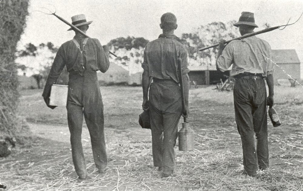 Gerald Ryan, John Ryan and Eric King