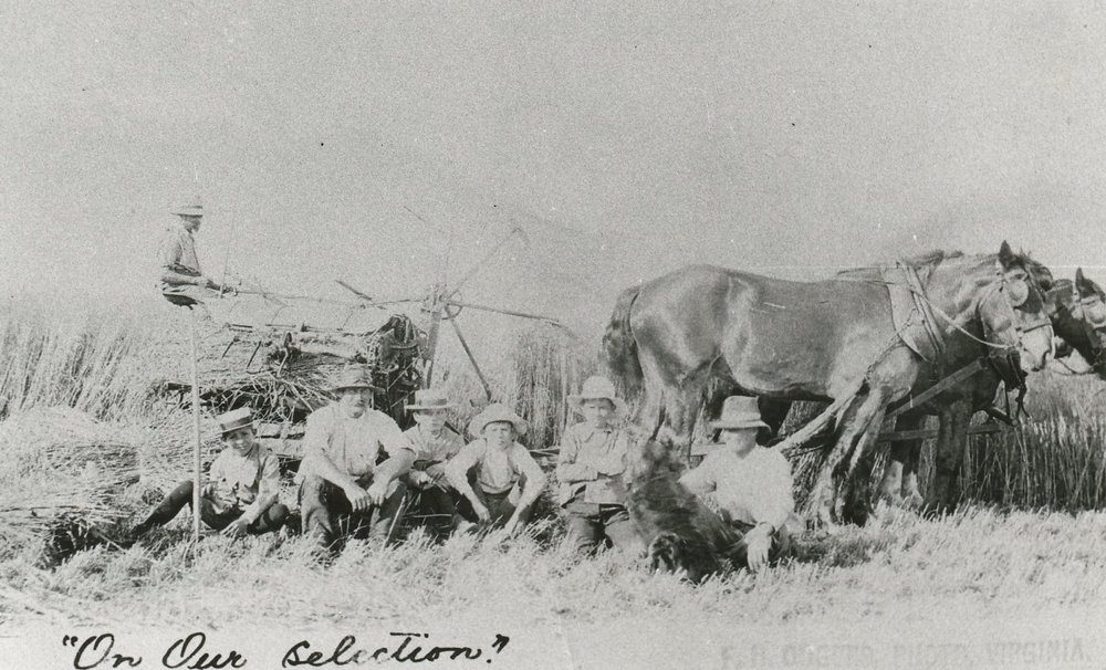Alfred Baker's Farm, Virginia