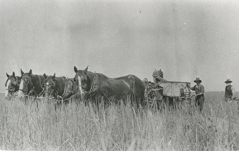 Albert Hatcher and Levi Mayes