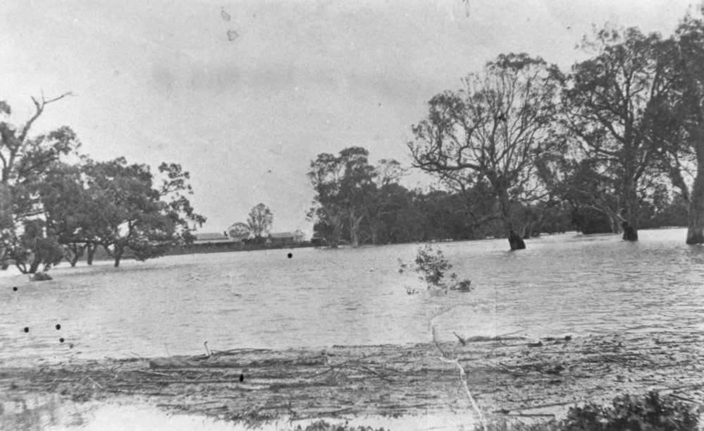 Gawler River in Flood