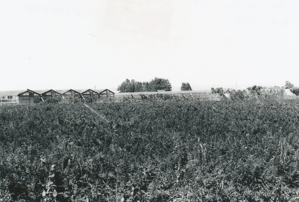 Virginia Market Gardens