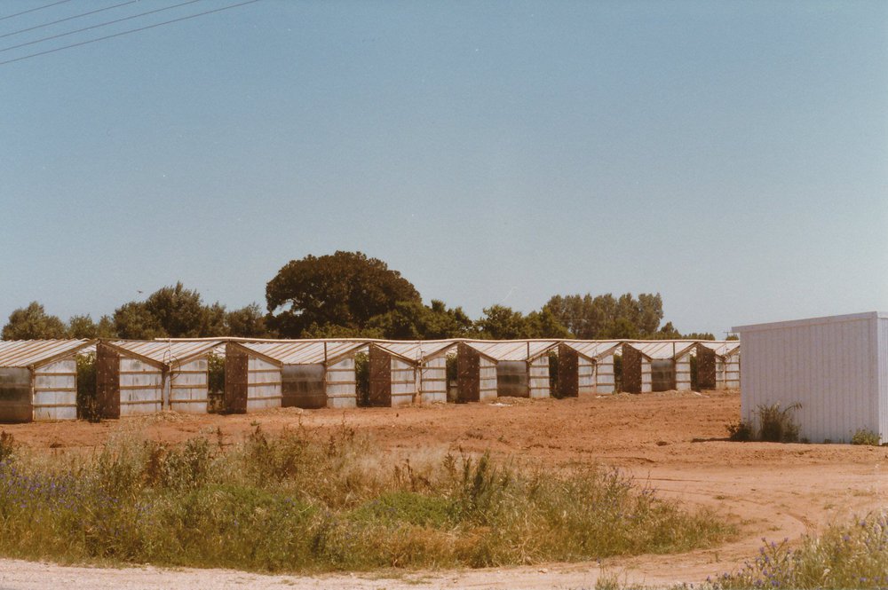 Virginia Glasshouses