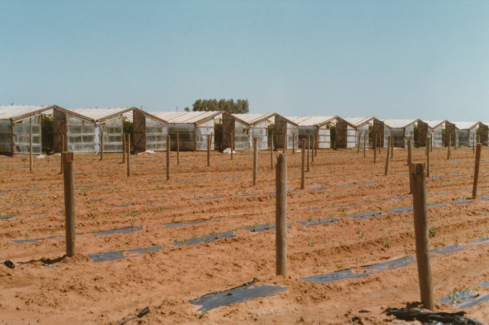 Virginia Glasshouses