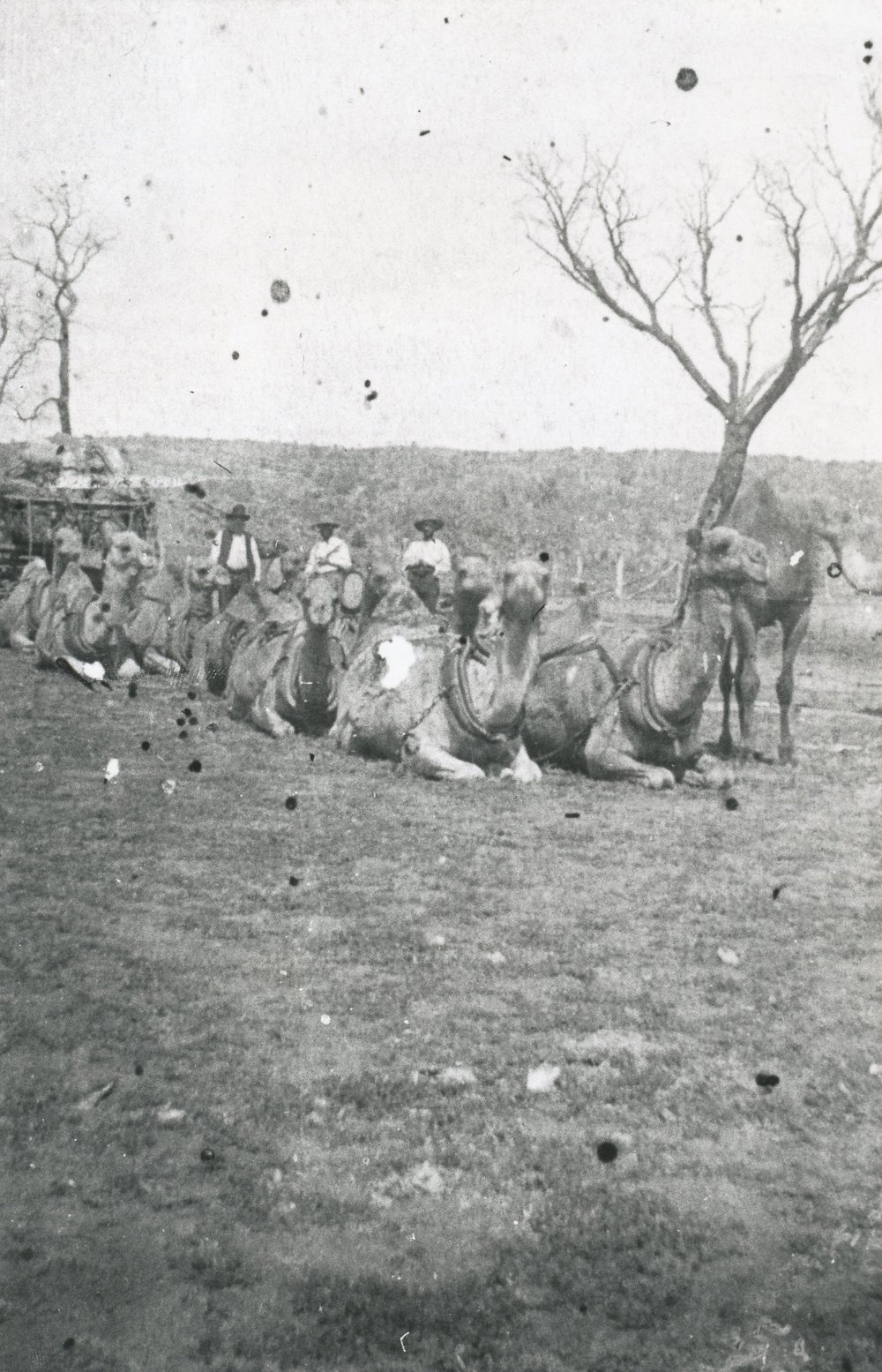 J.A Ryan and Edward Ryan at Alice Springs