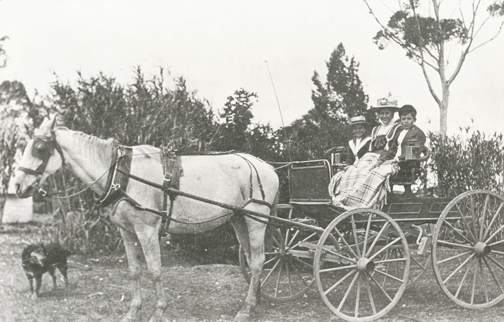 Connie Baker in trap