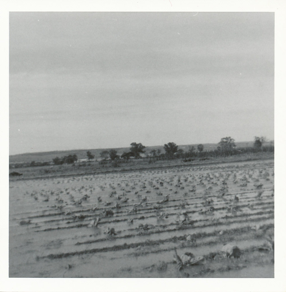 Flooding at Virginia
