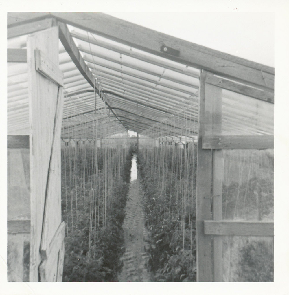 Virginia Greenhouses