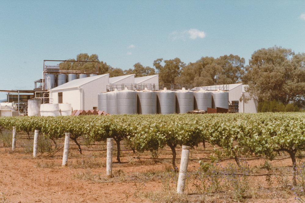 Angle Vale Winery