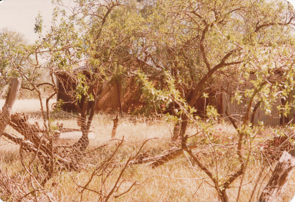 Whitelaw's Cottage, Angle Vale