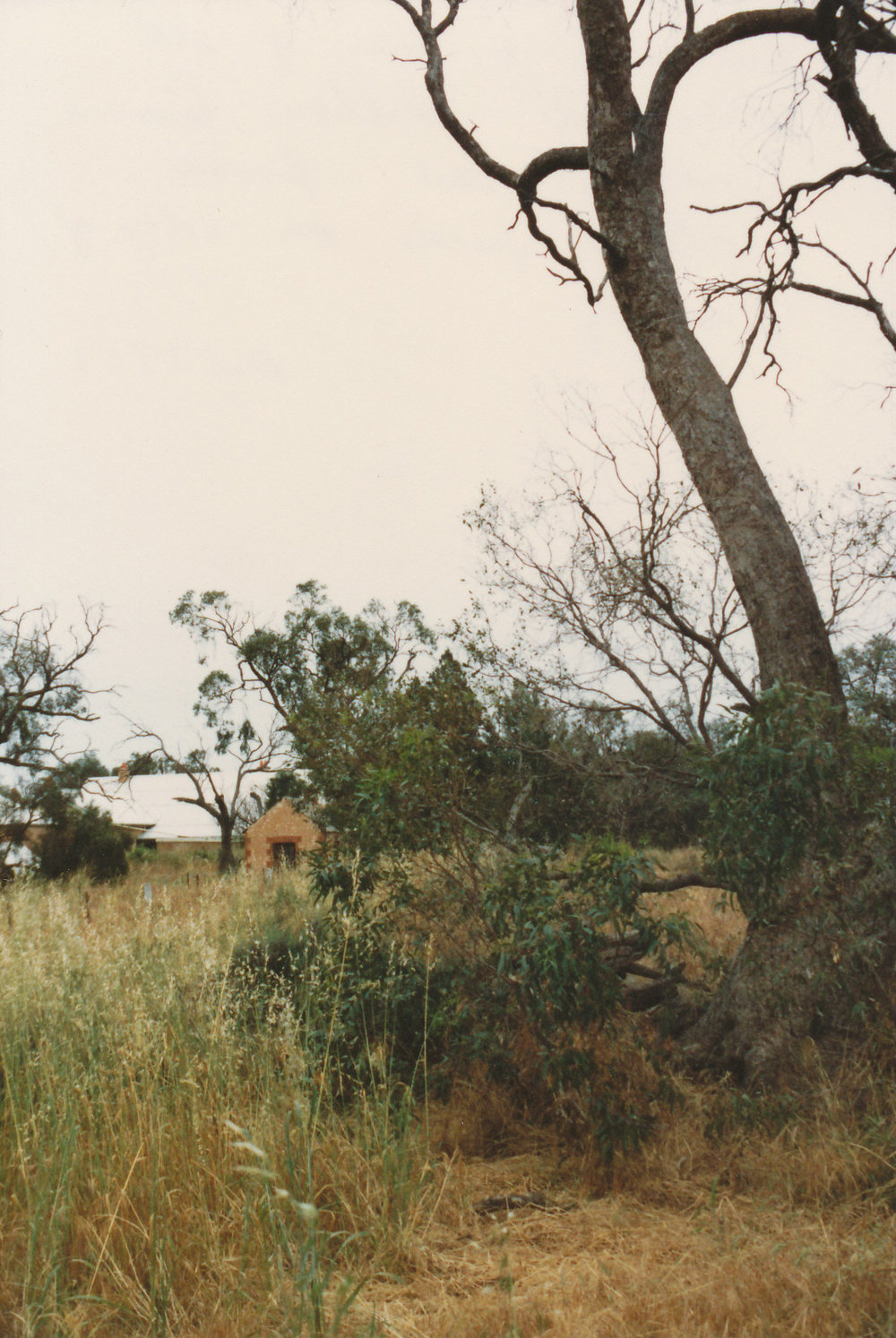 Willow Grove, Angle Vale