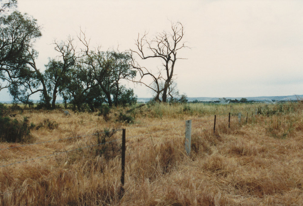 Willow Grove, Angle Vale