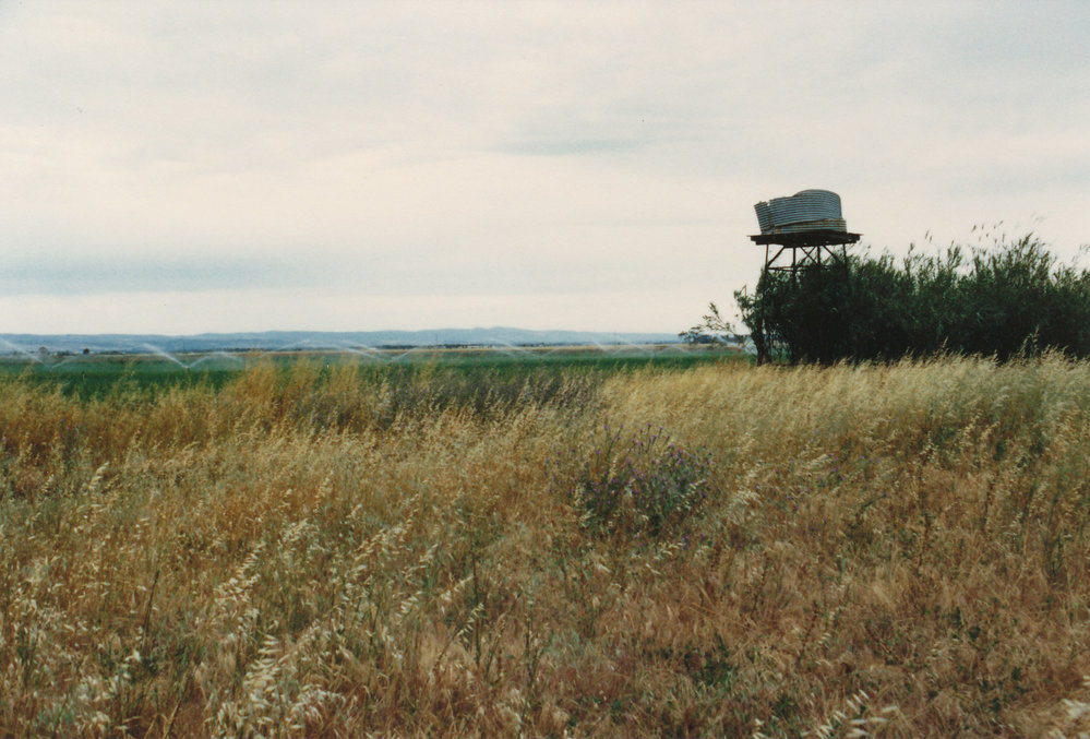 Willow Grove, Angle Vale