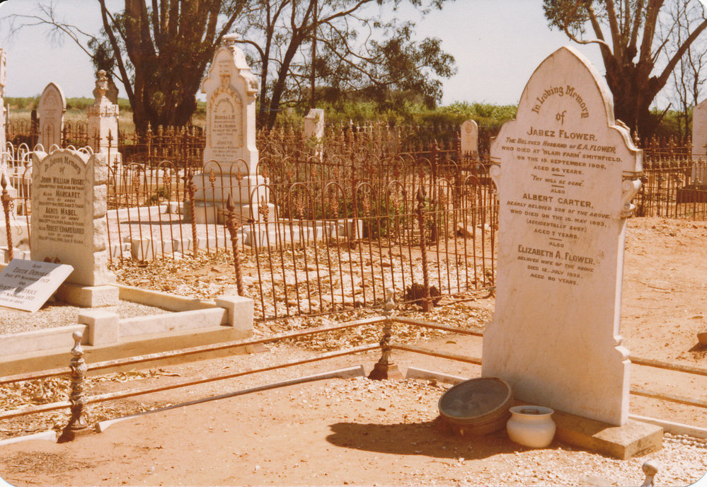Angle Vale Cemetery: Flower