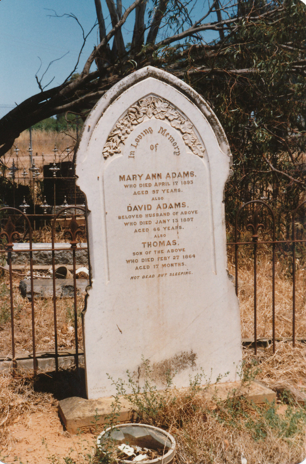 Adams headstone, Angle Vale