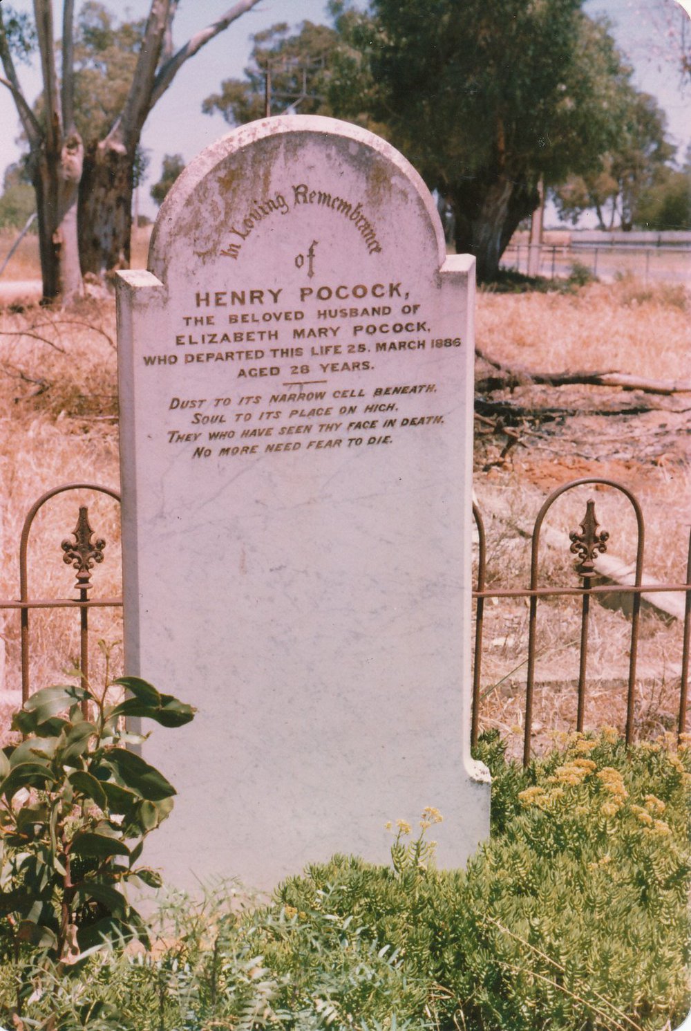 Angle Vale Cemetery: Pocock