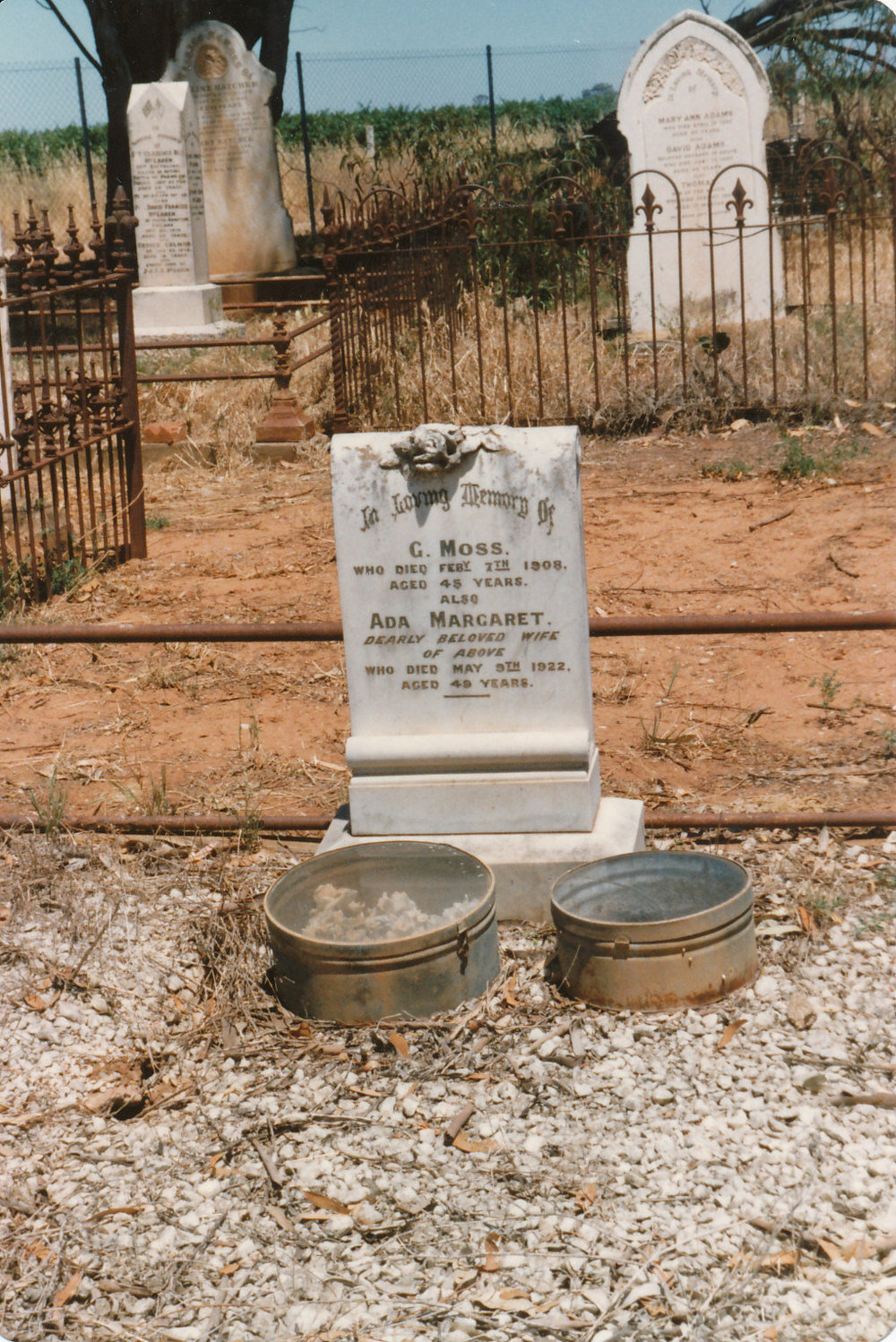Moss grave, Angle Vale Cemetery