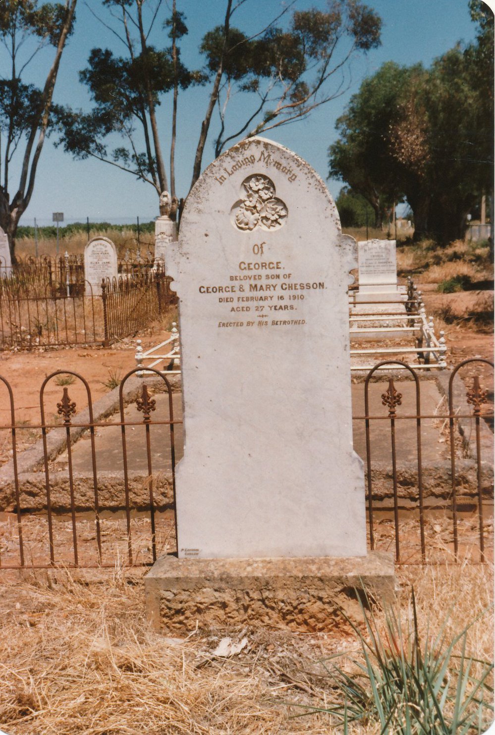 Angle Vale Cemetery: Chesson plot