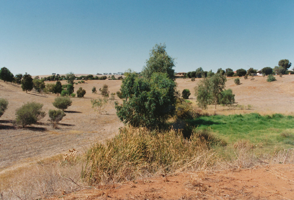 Jacaranda Heights, Craigmore
