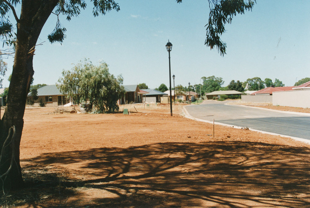 Coachwood Grove, Craigmore