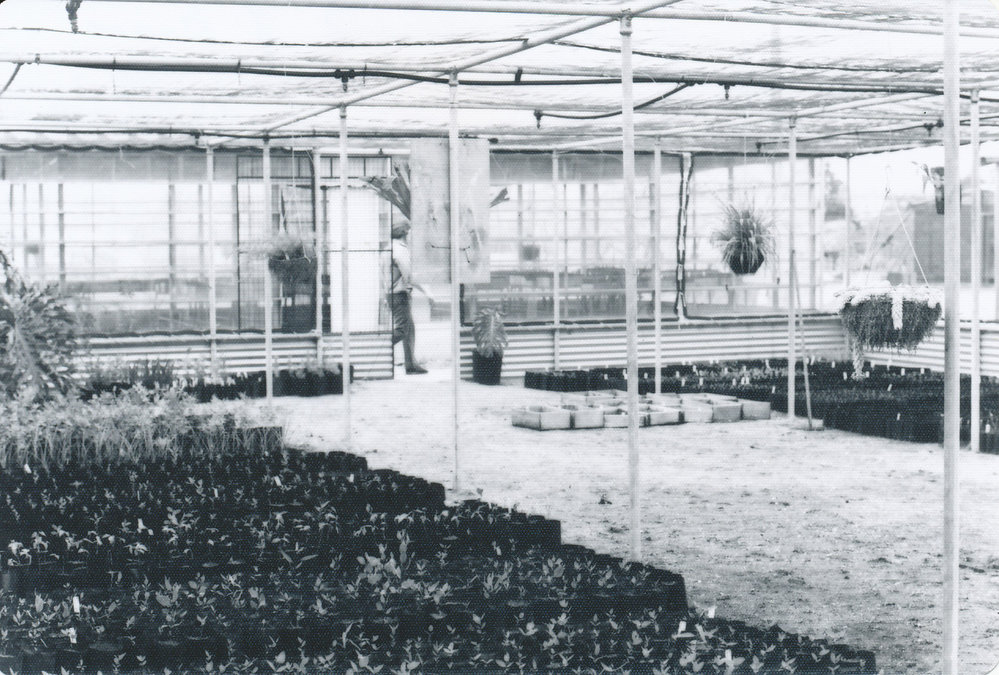 Munno Para Council Plant Nursery