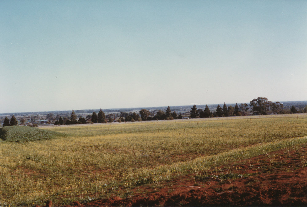 Smithfield Memorial Park Cemetery: 1985