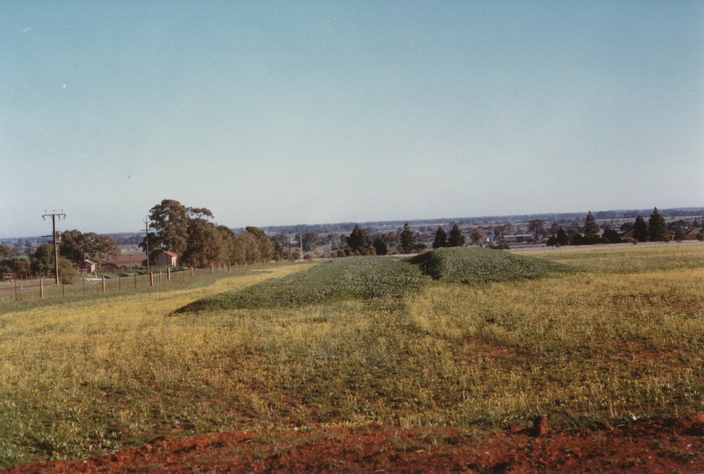 Smithfield Memorial Park Cemetery: 1985
