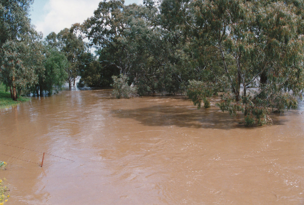 Gawler River Flood: 1992