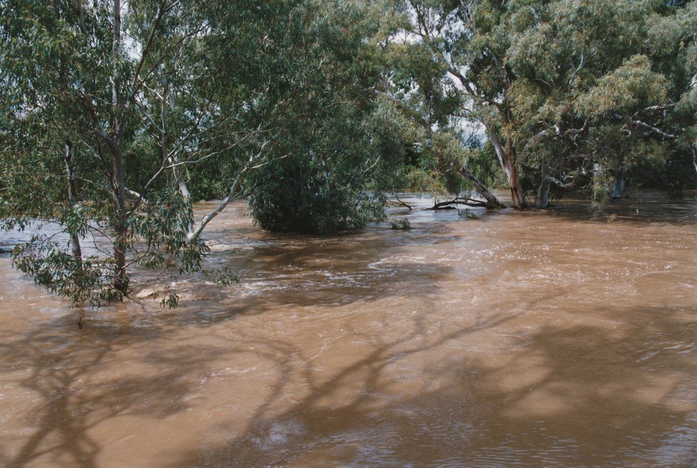 Gawler River Flood: 1992