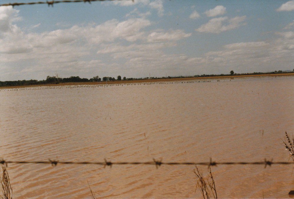 Floods in the City of Playford