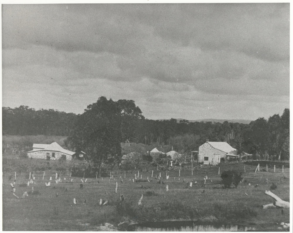 Cottages at One Tree Hill