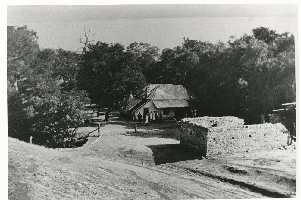 Cumberland Farm, One Tree Hill