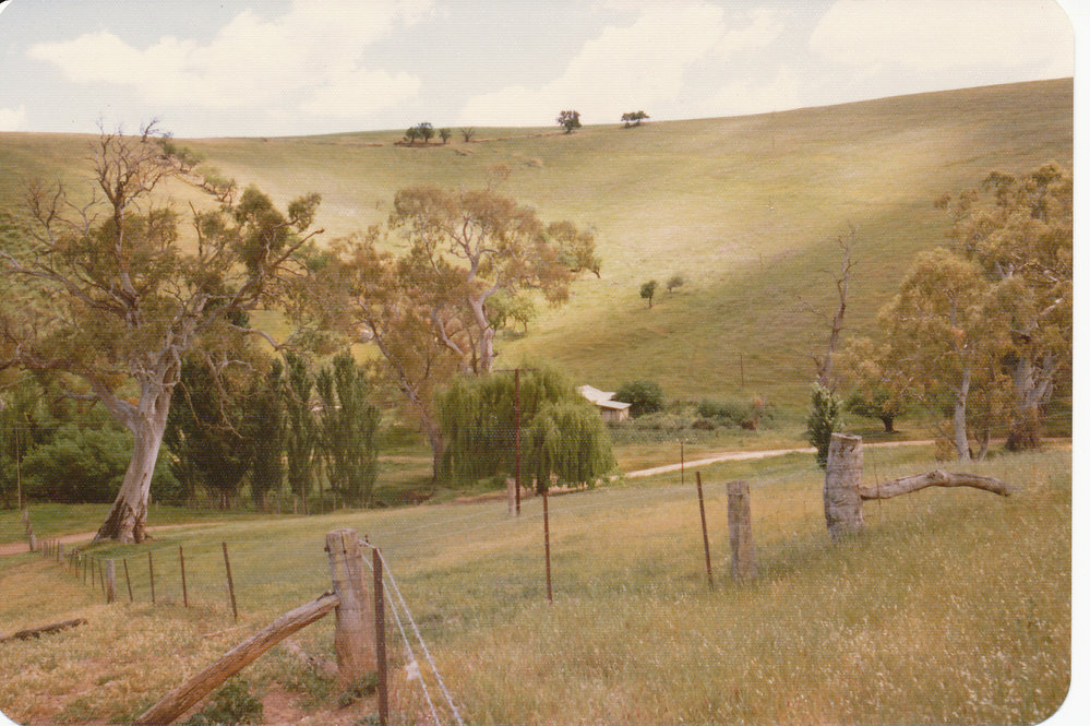 Gould Creek Property