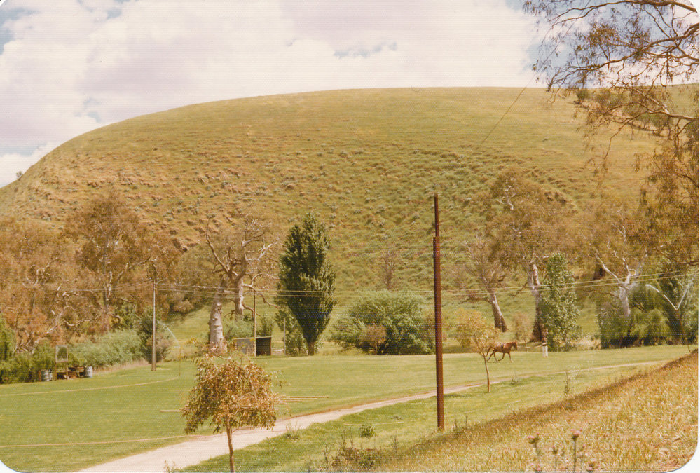 Gould Creek Homestead