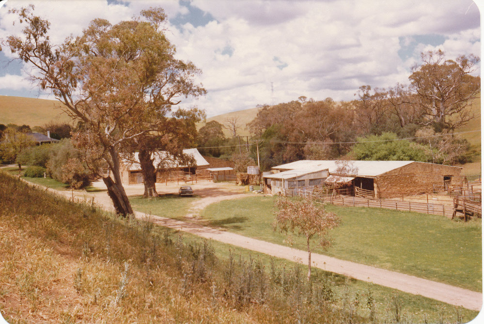 Gould Creek Property