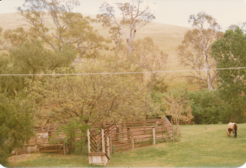 Gould Creek Property
